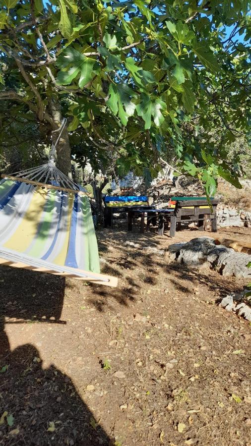 Apartman Dida Jakov Primošten المظهر الخارجي الصورة